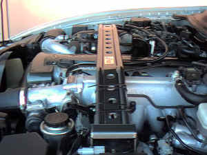 trd_brace2.jpg (59546 bytes)