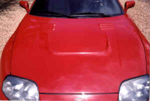 hood1.jpg (41638 bytes)